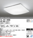 ODELIC ǥå 󥰥饤 OL251396B