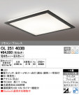 ODELIC ǥå 󥰥饤 OL251403B