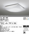 ODELIC ǥå 󥰥饤 OL251405