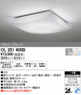 ODELIC ǥå 󥰥饤 OL251405B