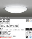 ODELIC ǥå 󥰥饤 OL251438B