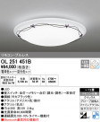 ODELIC ǥå 󥰥饤 OL251451B