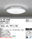 ODELIC ǥå 󥰥饤 OL251453B