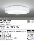 ODELIC ǥå 󥰥饤 OL251459B