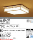 ODELIC ǥå 󥰥饤 OL251475B