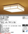 ODELIC ǥå 󥰥饤 OL251476B