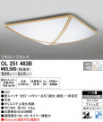 ODELIC ǥå 󥰥饤 OL251483B