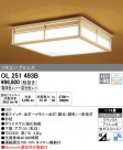 ODELIC ǥå 󥰥饤 OL251493B