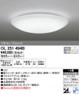 ODELIC ǥå 󥰥饤 OL251494B