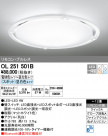 ODELIC ǥå 󥰥饤 OL251501B