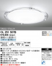 ODELIC ǥå 󥰥饤 OL251507B