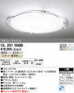 ODELIC ǥå 󥰥饤 OL251508B