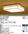 ODELIC ǥå 󥰥饤 OL251554B