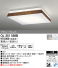 ODELIC ǥå 󥰥饤 OL251556B