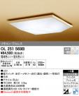 ODELIC ǥå 󥰥饤 OL251569B