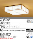 ODELIC ǥå 󥰥饤 OL251570B