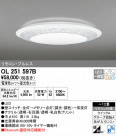 ODELIC ǥå 󥰥饤 OL251597B