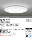 ODELIC ǥå 󥰥饤 OL251601B