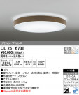 ODELIC ǥå 󥰥饤 OL251673B
