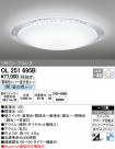ODELIC ǥå 󥰥饤 OL251695B
