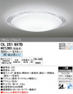 ODELIC ǥå 󥰥饤 OL251697B