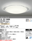 ODELIC ǥå 󥰥饤 OL251698B