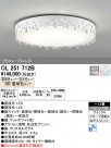 ODELIC ǥå 󥰥饤 OL251712B