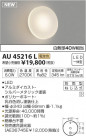 ߾ KOIZUMI ɱ֥饱å LEDŵ忧 AU45216L