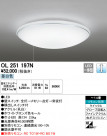 ODELIC ǥå 󥰥饤 OL251197N