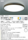 ߾ KOIZUMI LED  AH46987L