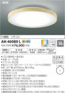 ߾ KOIZUMI LED  AH46989L