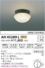 ߾ KOIZUMI LED  AH45289L