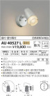 ߾ KOIZUMI LED ȥɥݥåȥ饤 AU40527L