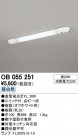 ODELIC ǥå å饤 OB055251