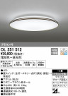 ODELIC ǥå LED 󥰥饤 OL251512