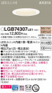 Panasonic 饤 LGB74307LE1