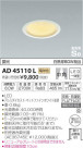 ߾ KOIZUMI ⵤ̩饤 AD45110L