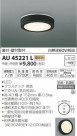 ߾ KOIZUMI ɱɼ AU45221L