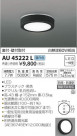 ߾ KOIZUMI ɱɼ AU45222L