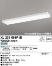 ODELIC ǥå ١饤 XL251091P1B