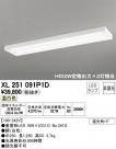 ODELIC ǥå ١饤 XL251091P1D