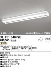 ODELIC ǥå ١饤 XL251646P2E