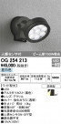 ODELIC ǥå ƥꥢ饤 OG254213