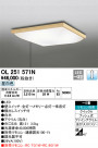ODELIC ǥå 󥰥饤 OL251571N
