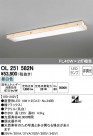 ODELIC ǥå 󥰥饤 OL251582N