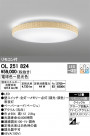 ODELIC ǥå 󥰥饤 OL251824