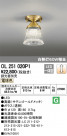 ODELIC ǥå 󥰥饤 OL251020P1