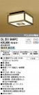 ODELIC ǥå 󥰥饤 OL251844PC
