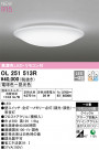 ODELIC ǥå 󥰥饤 OL251513R