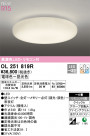 ODELIC ǥå 󥰥饤 OL251819R